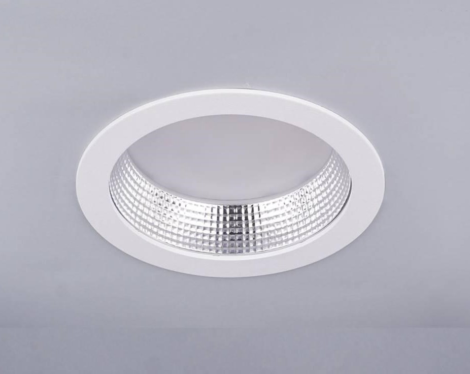 Zer Led Downlight